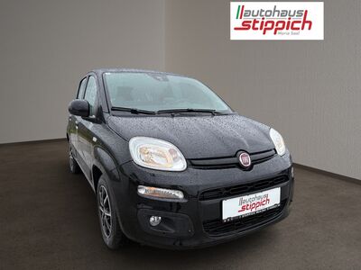 Fiat Panda Gebrauchtwagen Fiat Panda Gebrauchtwagen