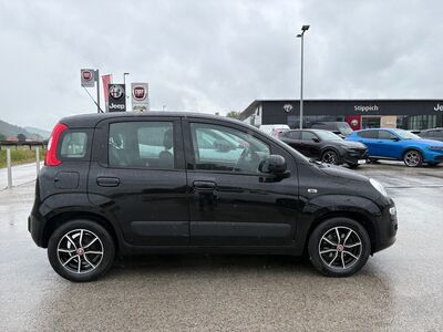 Fiat Panda Gebrauchtwagen Fiat Panda Gebrauchtwagen