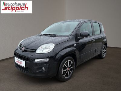 Fiat Panda Gebrauchtwagen Fiat Panda Gebrauchtwagen
