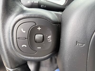 Fiat Panda Gebrauchtwagen Fiat Panda Gebrauchtwagen