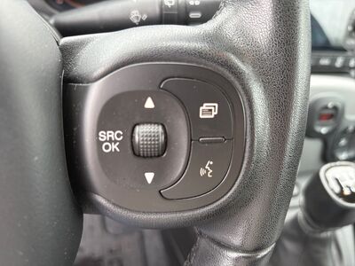 Fiat Panda Gebrauchtwagen Fiat Panda Gebrauchtwagen
