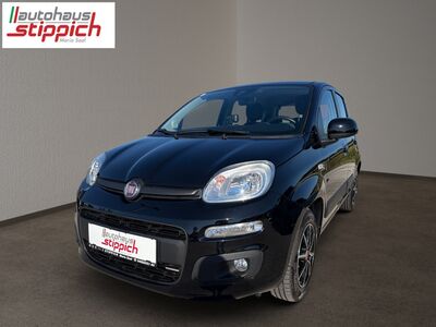 Fiat Panda Gebrauchtwagen Fiat Panda Gebrauchtwagen