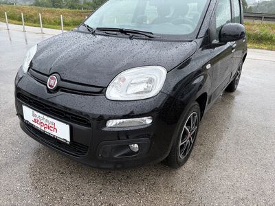 Fiat Panda Gebrauchtwagen Fiat Panda Gebrauchtwagen