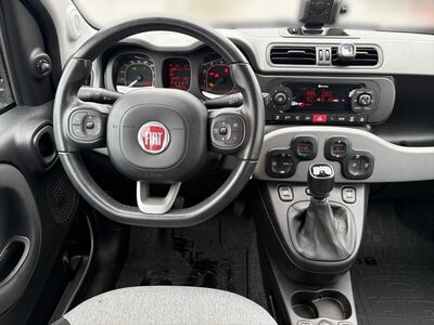 Fiat Panda Gebrauchtwagen Fiat Panda Gebrauchtwagen