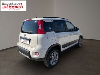Fiat Panda Gebrauchtwagen