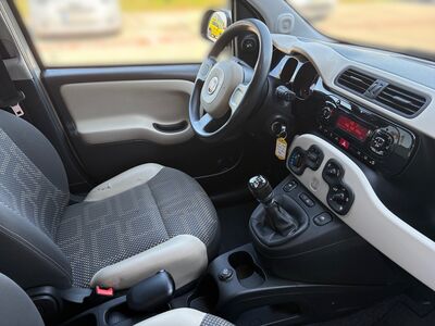 Fiat Panda Gebrauchtwagen