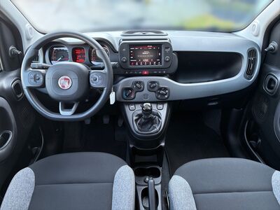 Fiat Panda Gebrauchtwagen Fiat Panda Gebrauchtwagen