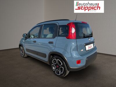 Fiat Panda Gebrauchtwagen Fiat Panda Gebrauchtwagen