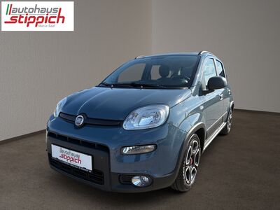 Fiat Panda Gebrauchtwagen Fiat Panda Gebrauchtwagen