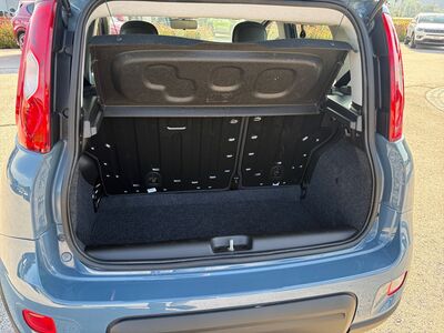 Fiat Panda Gebrauchtwagen Fiat Panda Gebrauchtwagen