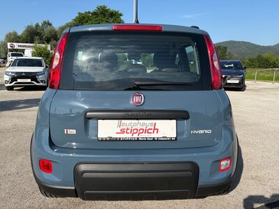 Fiat Panda Gebrauchtwagen Fiat Panda Gebrauchtwagen