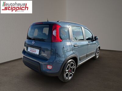 Fiat Panda Gebrauchtwagen Fiat Panda Gebrauchtwagen