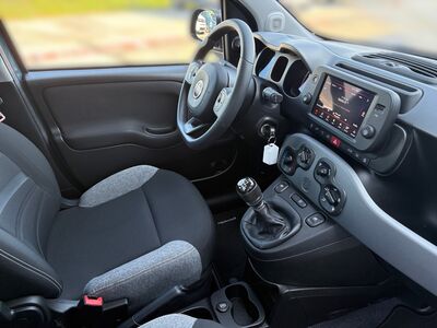 Fiat Panda Gebrauchtwagen Fiat Panda Gebrauchtwagen