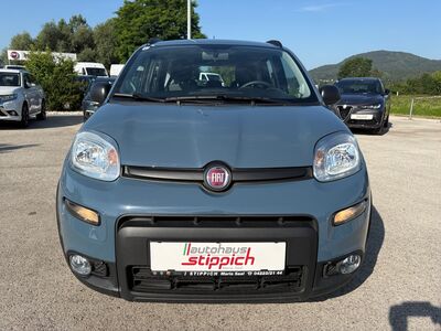 Fiat Panda Gebrauchtwagen Fiat Panda Gebrauchtwagen