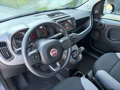 Fiat Panda Gebrauchtwagen Fiat Panda Gebrauchtwagen