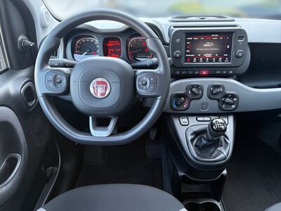 Fiat Panda Gebrauchtwagen Fiat Panda Gebrauchtwagen