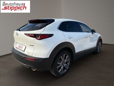 Mazda CX-30 Gebrauchtwagen Mazda CX-30 Gebrauchtwagen
