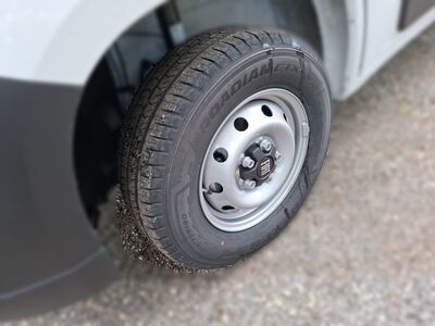 Fiat Ducato Tageszulassung