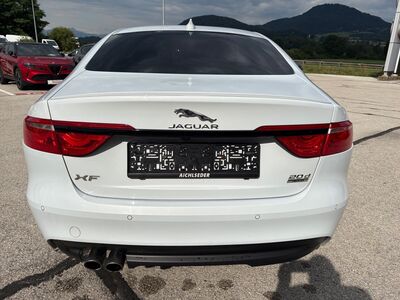 Jaguar XF Gebrauchtwagen