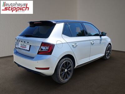 Skoda Fabia Gebrauchtwagen Skoda Fabia Gebrauchtwagen