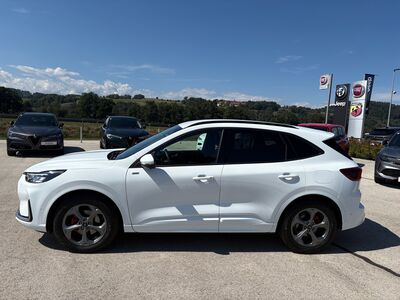 Ford Kuga Gebrauchtwagen Ford Kuga Gebrauchtwagen
