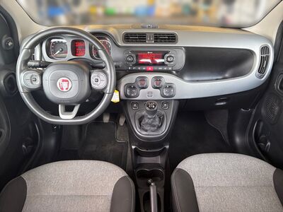 Fiat Panda Gebrauchtwagen Fiat Panda Gebrauchtwagen