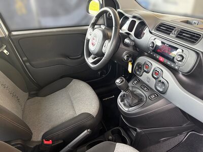 Fiat Panda Gebrauchtwagen Fiat Panda Gebrauchtwagen