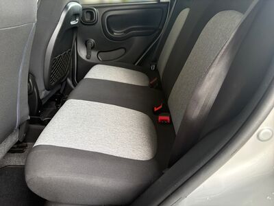 Fiat Panda Gebrauchtwagen Fiat Panda Gebrauchtwagen
