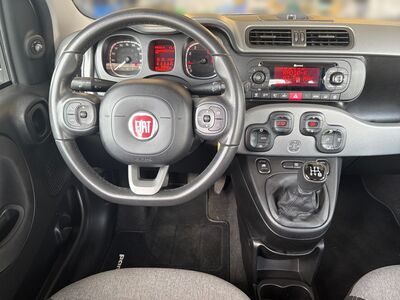 Fiat Panda Gebrauchtwagen Fiat Panda Gebrauchtwagen