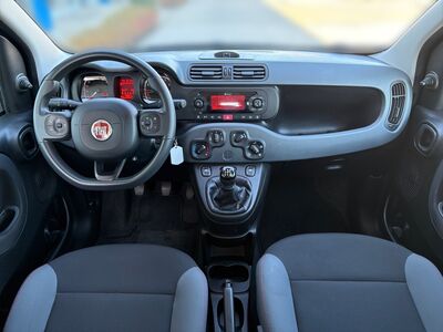 Fiat Panda Gebrauchtwagen