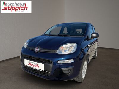 Fiat Panda Gebrauchtwagen