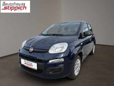 Fiat Panda Gebrauchtwagen Fiat Panda Gebrauchtwagen
