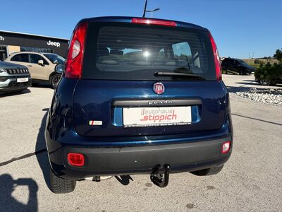 Fiat Panda Gebrauchtwagen