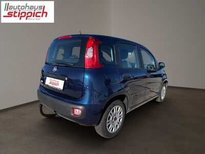 Fiat Panda Gebrauchtwagen
