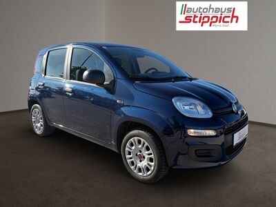 Fiat Panda Gebrauchtwagen