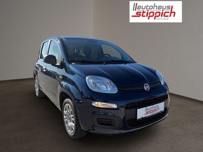 Fiat Panda Gebrauchtwagen