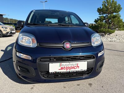 Fiat Panda Gebrauchtwagen