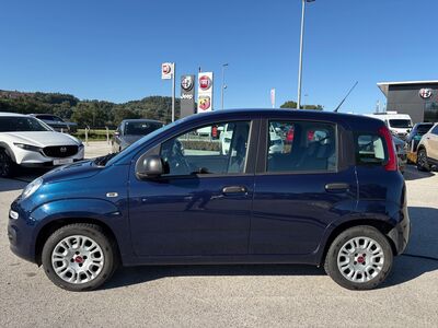 Fiat Panda Gebrauchtwagen