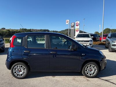 Fiat Panda Gebrauchtwagen