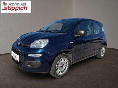 Fiat Panda Gebrauchtwagen