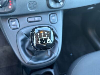 Fiat Panda Gebrauchtwagen