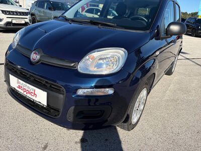 Fiat Panda Gebrauchtwagen
