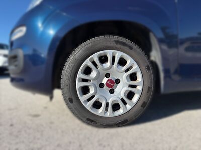 Fiat Panda Gebrauchtwagen