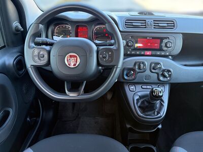 Fiat Panda Gebrauchtwagen