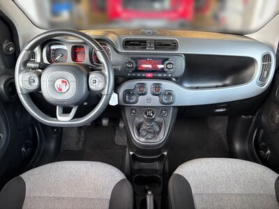 Fiat Panda Gebrauchtwagen Fiat Panda Gebrauchtwagen