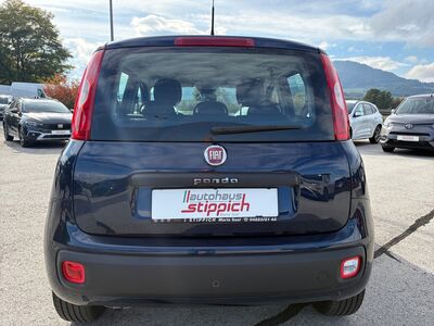 Fiat Panda Gebrauchtwagen Fiat Panda Gebrauchtwagen