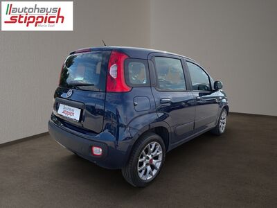 Fiat Panda Gebrauchtwagen Fiat Panda Gebrauchtwagen