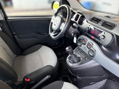 Fiat Panda Gebrauchtwagen Fiat Panda Gebrauchtwagen