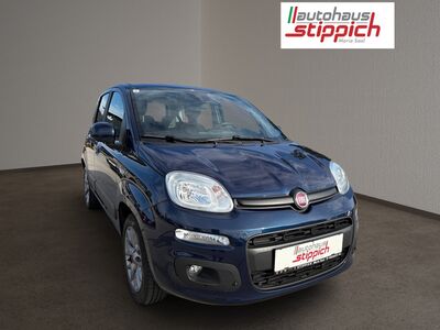 Fiat Panda Gebrauchtwagen Fiat Panda Gebrauchtwagen