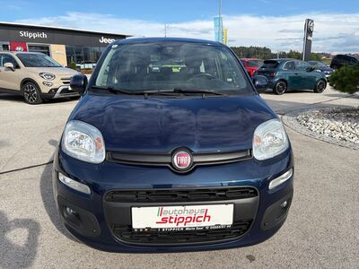 Fiat Panda Gebrauchtwagen Fiat Panda Gebrauchtwagen